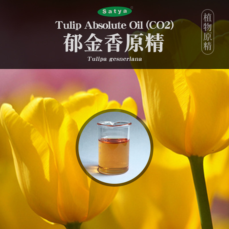 satya印度郁金香精油5ml超临