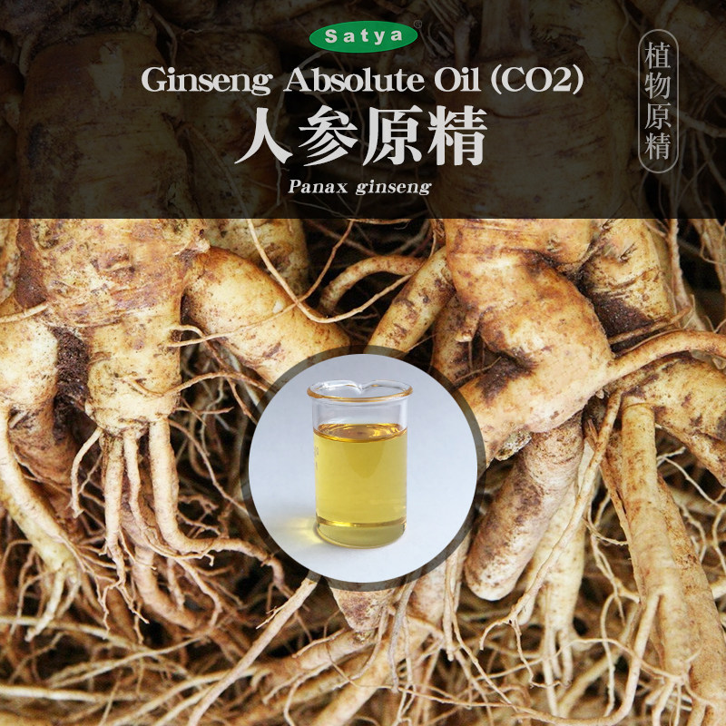 satya法国人参精油10ml超临界co2原精紧实收毛孔滋润肌肤单方精油