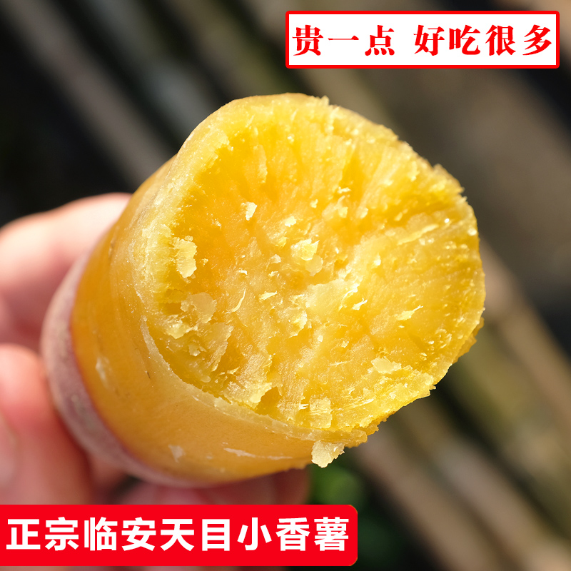 当月现挖新鲜红薯正宗临安天目小香薯番薯紫薯板栗地瓜山芋五斤装在类目 水产肉类/新鲜蔬果/熟食, 新鲜蔬菜/蔬菜制品, 新鲜蔬菜, 番薯中 - 来自Buy2taobao.com提供专业的淘宝代购服务
