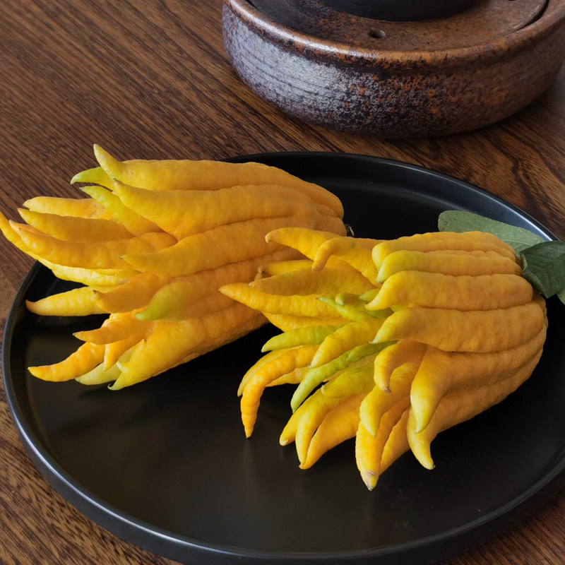 现摘现发金华佛手新鲜佛手果佛手柑香橼水养小佛手摆件观赏闻香