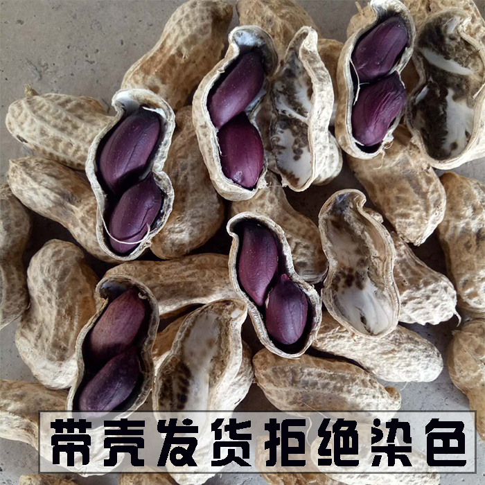 小红书推荐新鲜带壳富硒黑花生黑皮生花生干花生米可做种子500g