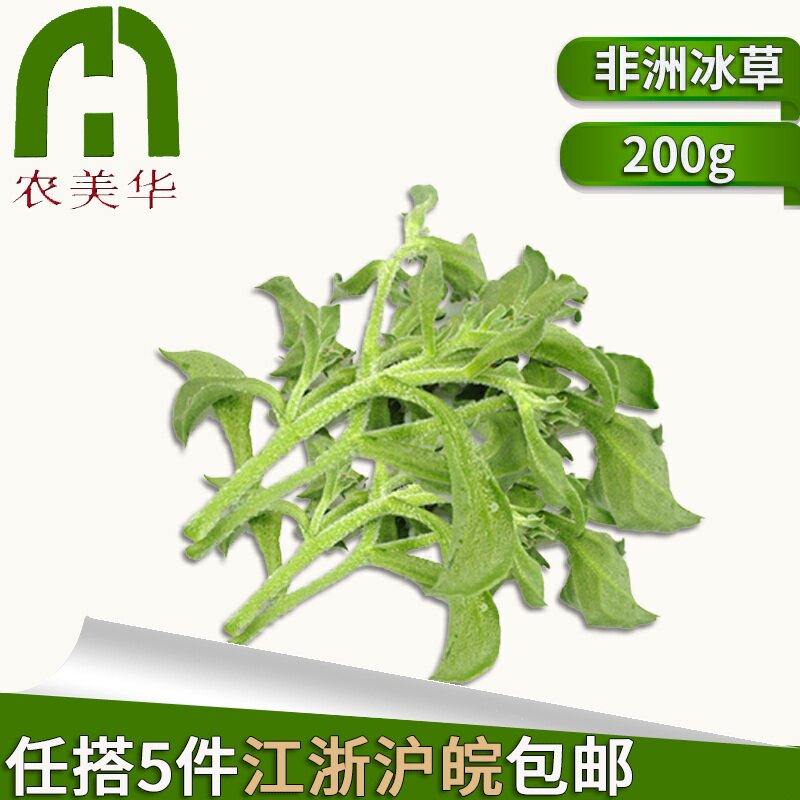 新鲜冰草非洲冰草冰菜新鲜蔬菜沙拉菜生菜西餐冰草菜200g