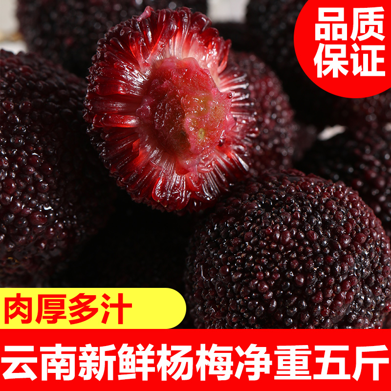 Yunnan Bayberry NW 5 class a fresh Bayberry goods in stock specialty Season pregnant woman fruit Full containerin the Aquatic meat/Fresh fruits and vegetables/Cooked , Fresh fruit , Other category - from Buy2taobao.com to provide professional Taobao agent buy service