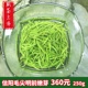 绿茶新茶明前信阳毛尖特级2024新茶春茶茶叶自产自销250g