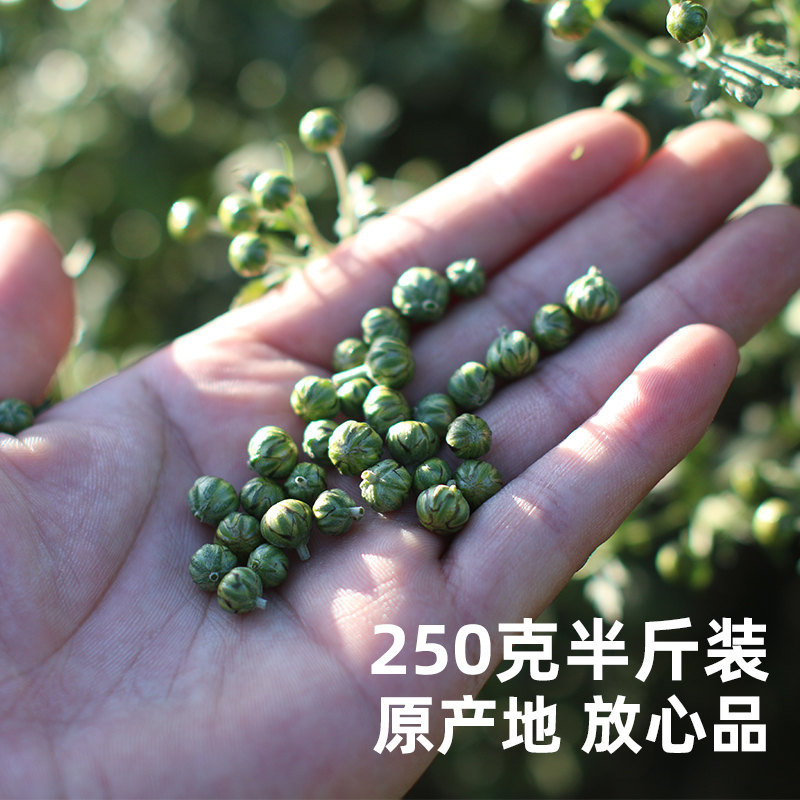 丽水特产2023新石练菊米花草茶野菊米原产地直接发货 实惠250克装