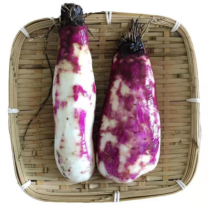 赣南紫山药5斤装新鲜蔬菜现挖脚板薯紫 种苗野山药种子粉糯脆种苗