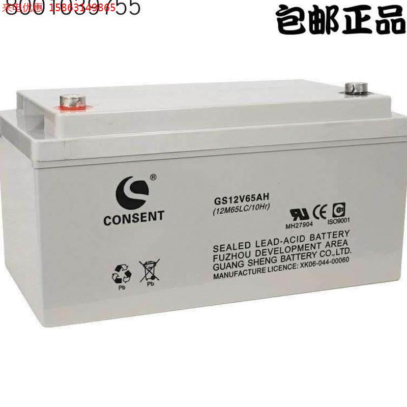 光盛蓄电池12v200通讯基站UPS应急照明GS12V200免维护ups光伏