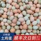 土鸡蛋正宗农家散养无激素鸡蛋新鲜批发整箱谷物草笨柴鸡蛋乌鸡蛋