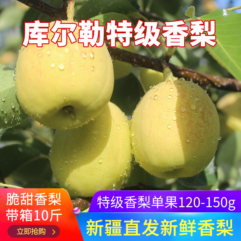 【新疆直发】库尔勒特级香梨净重8.5斤新鲜新疆水果整箱产地直供在类目 水产肉类/新鲜蔬果/熟食, 新鲜水果, 梨中 - 来自Buy2taobao.com提供专业的淘宝代购服务