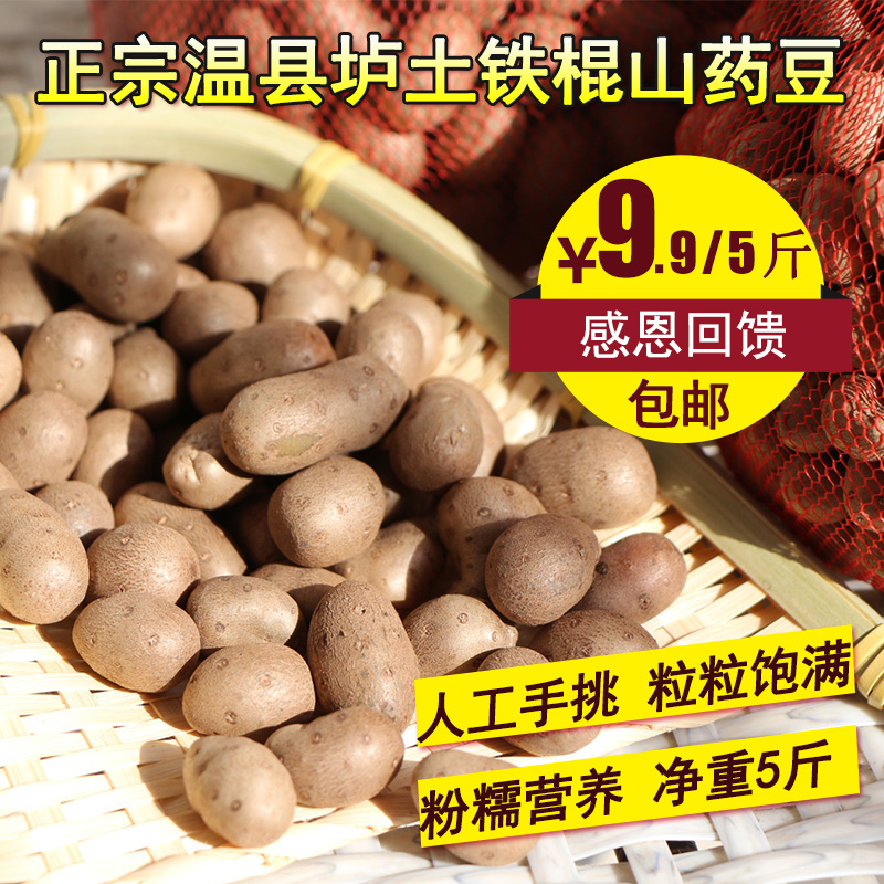 河南焦作温县新鲜铁棍山药豆 铁杆怀山约豆5斤山药蛋特价多省包邮|msdalam kategori makanan berkhasiat tradisional, Yam - dari Buy2taobao.com untuk memberikan perkhidmatan ejen Taobao profesional membeli