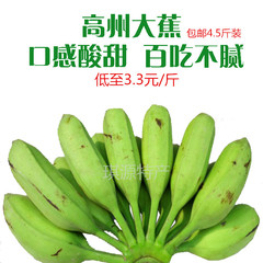 包邮广东高州芭蕉大蕉plantain新鲜水果无催熟剂产地直发 4.5斤