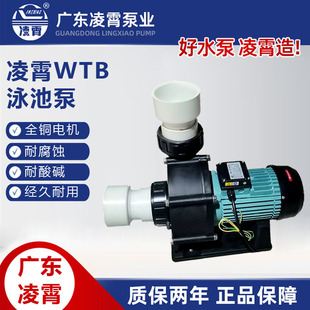 WTB550T广东凌霄泵管道增压电动机机械密封大流量高扬程海水养殖