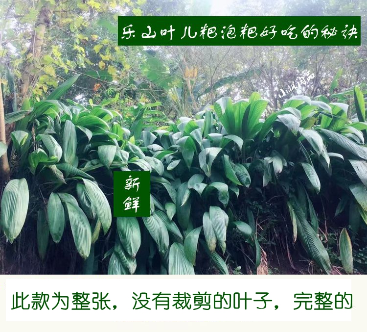 叶儿粑叶子