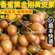 广西香蜜黑金刚黄皮果新鲜现摘现发当季灵山黑黄皮酸甜水果顺丰