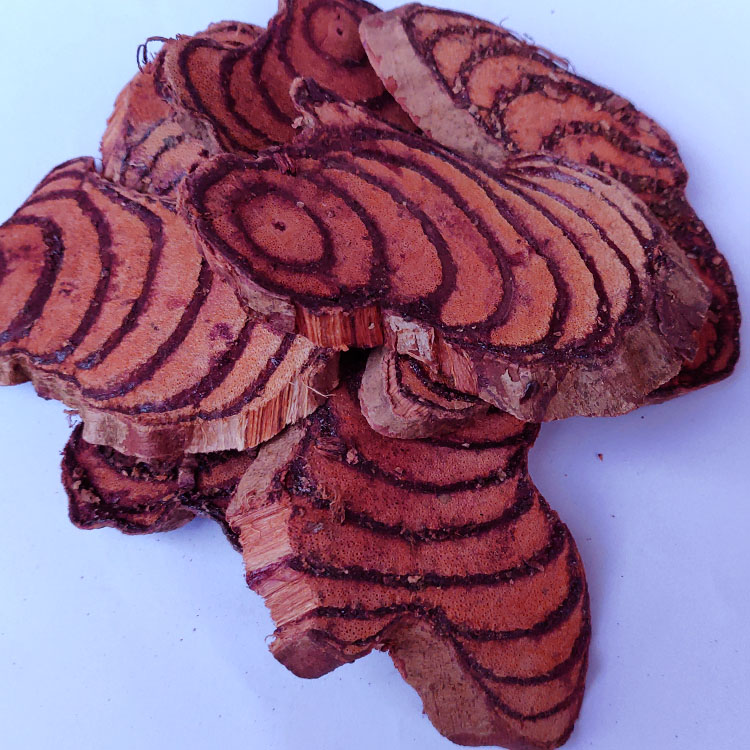 广西野生鸡血藤血风藤马鹿藤紫梗藤猪血藤红血藤500克包邮