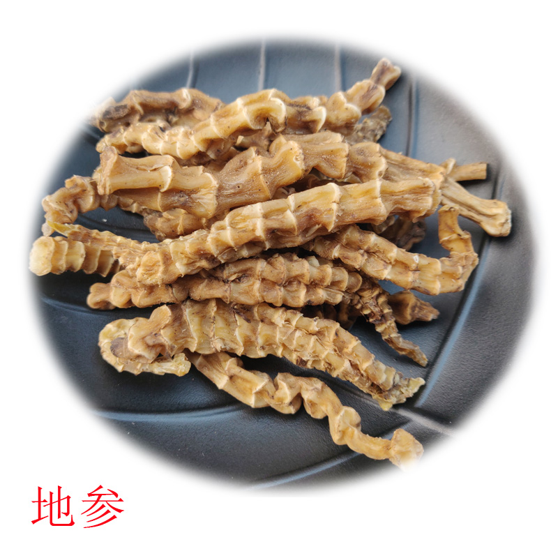 九阳草地参云南省虫草参竹节参农产品中药材煲汤泡酒男性食用新货