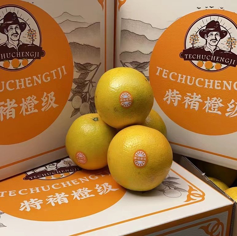 顺丰包邮正宗现摘云南褚橙黄皮冰糖橙子非实建橙10斤礼盒特级褚橙