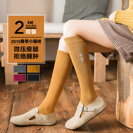 长袜子女韩国潮学院风春季保暖棉质堆堆袜加厚高筒日系刺绣小腿袜