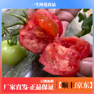 陕西泾阳普罗旺斯西红柿新鲜自然熟蔬菜水果当季沙瓤大番茄整箱