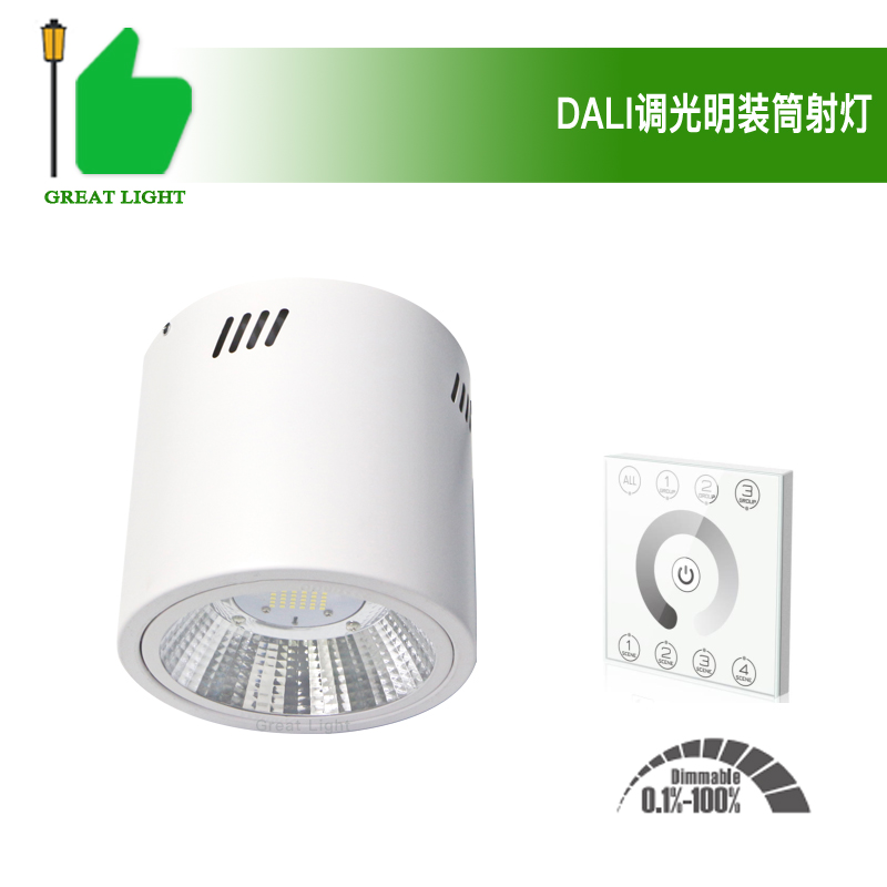 6寸8寸30瓦40W50WLED明裝筒燈DALI調光在類目 家裝主材, 燈具燈飾, 筒燈中 - 來自Buy2taobao.com提供專業的淘寶代購服務