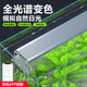 鱼缸灯节能灯led灯照明灯乌龟造景水草灯防水灯中小型水族箱排灯