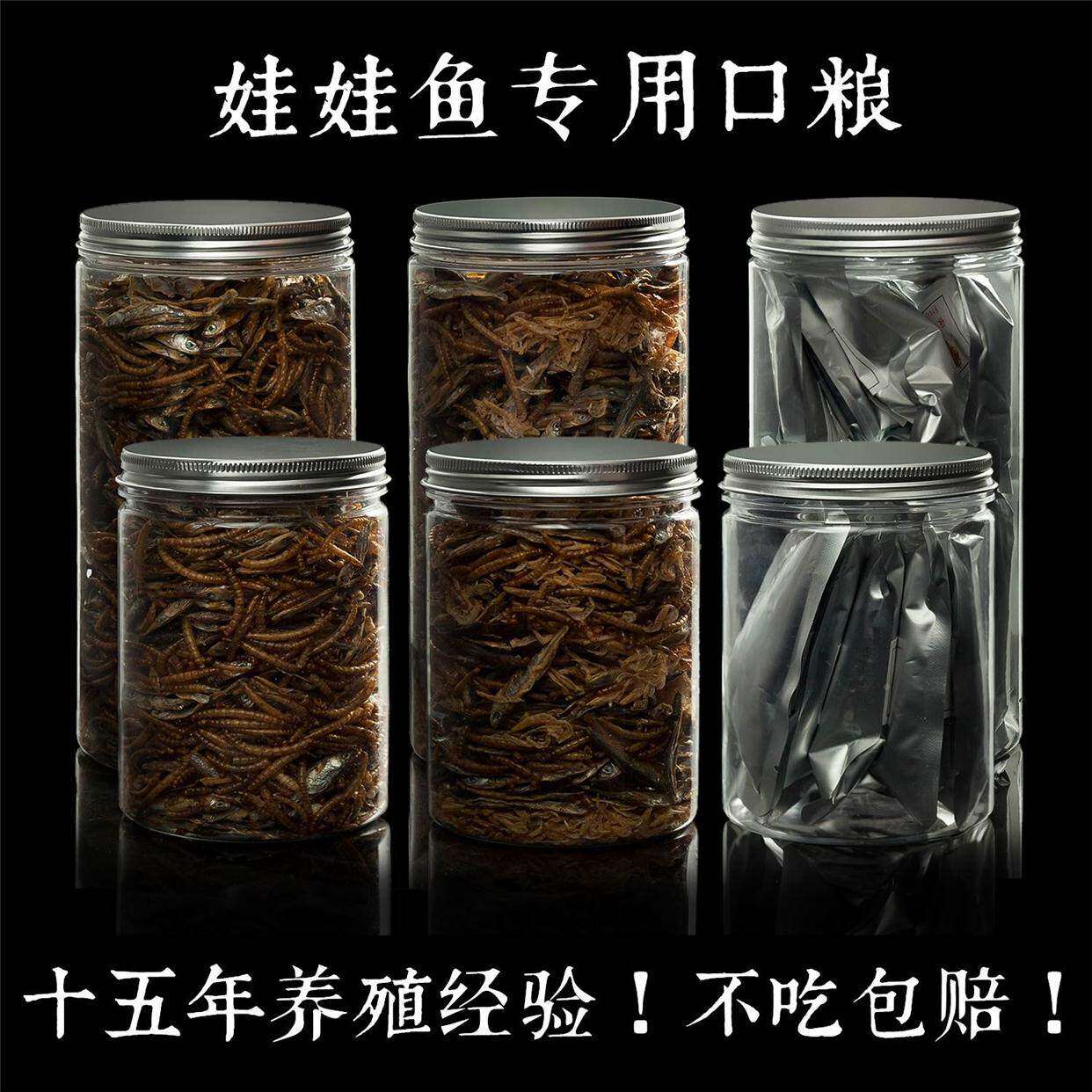 太平洋大鲵_陆巨螈_太平洋娃娃鱼百科图片_饲养繁殖_雌雄鉴别_sbike