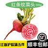 紅條紋菜頭Chioggia beetroot意大利螺旋紋甜菜根條紋蘿蔔食用 紅條紋菜頭Chioggia beetroot意大利螺旋紋甜菜根條紋蘿蔔食用