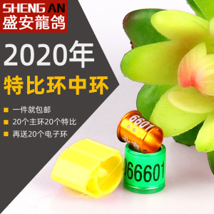 中国杯信鸽专用环2020图片