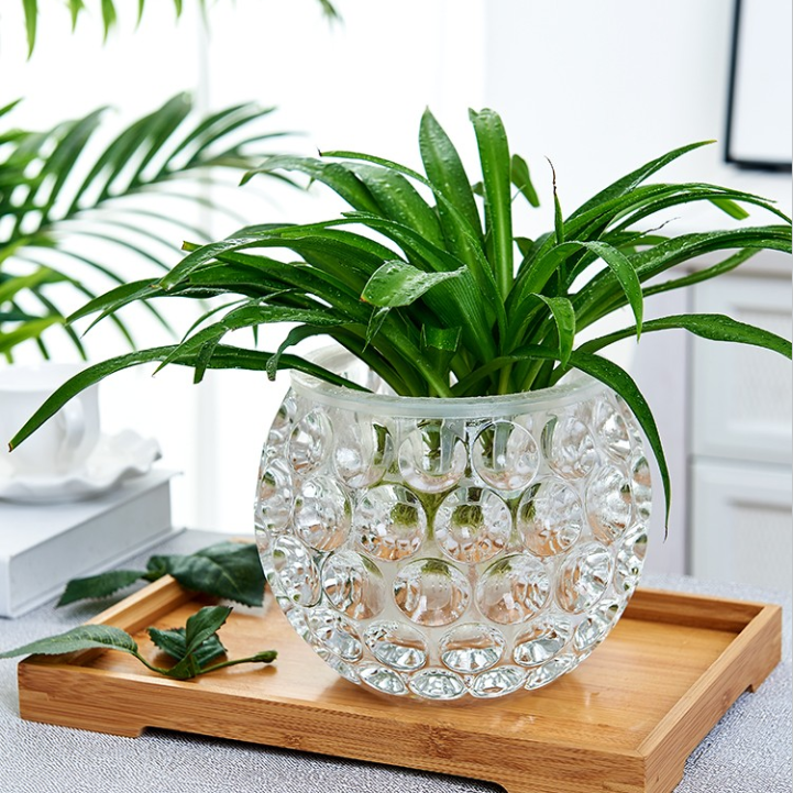 水培器皿创意玻璃花盆水养植物瓶透明