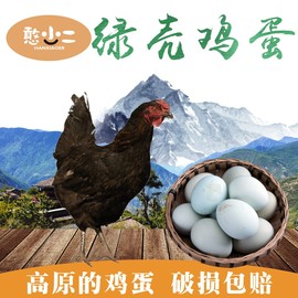 绿壳鸡蛋农家散养绿皮土鸡蛋草鸡蛋鸡蛋盒20枚装月子蛋