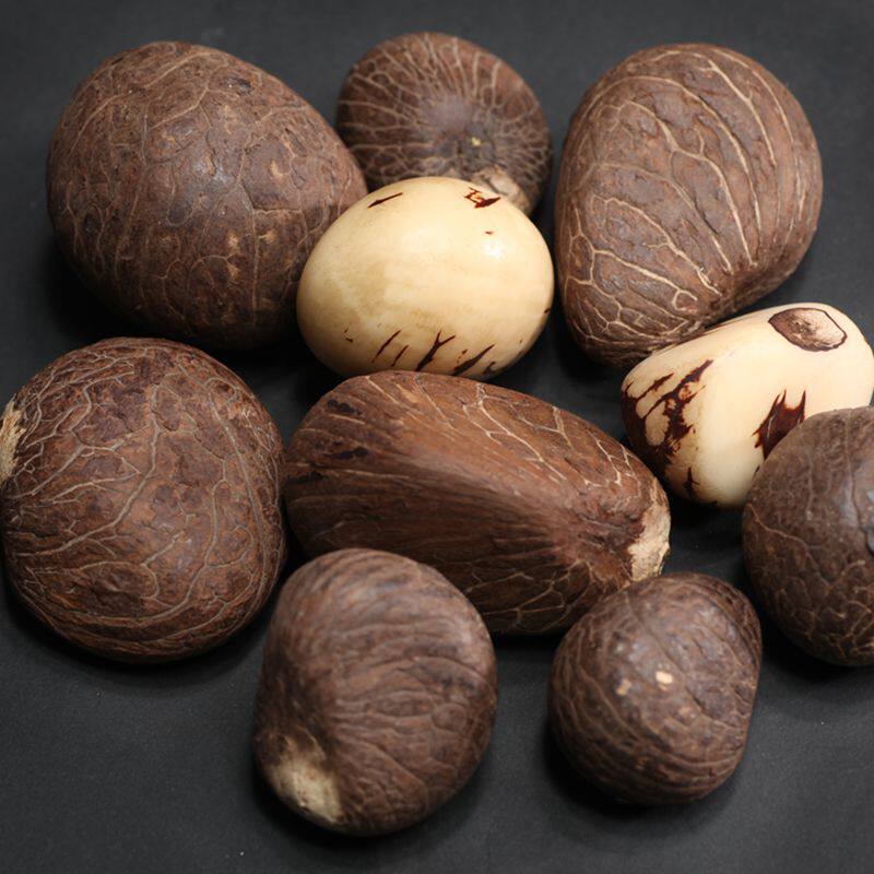 象牙果原籽原果白色黄色精挑像牙果高密顺白雕刻把件原料大中小果