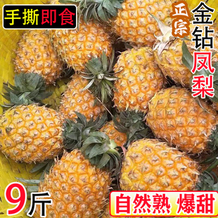 海南金钻凤梨新鲜9斤新鲜水果当季金钻菠萝手撕菠萝无眼整箱包邮5