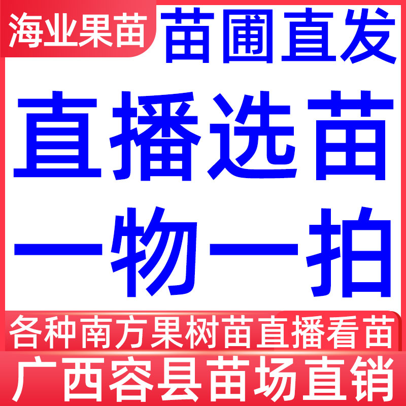 直播间 一物一拍 多品种树苗 直播看苗 下单联系客服备注编号