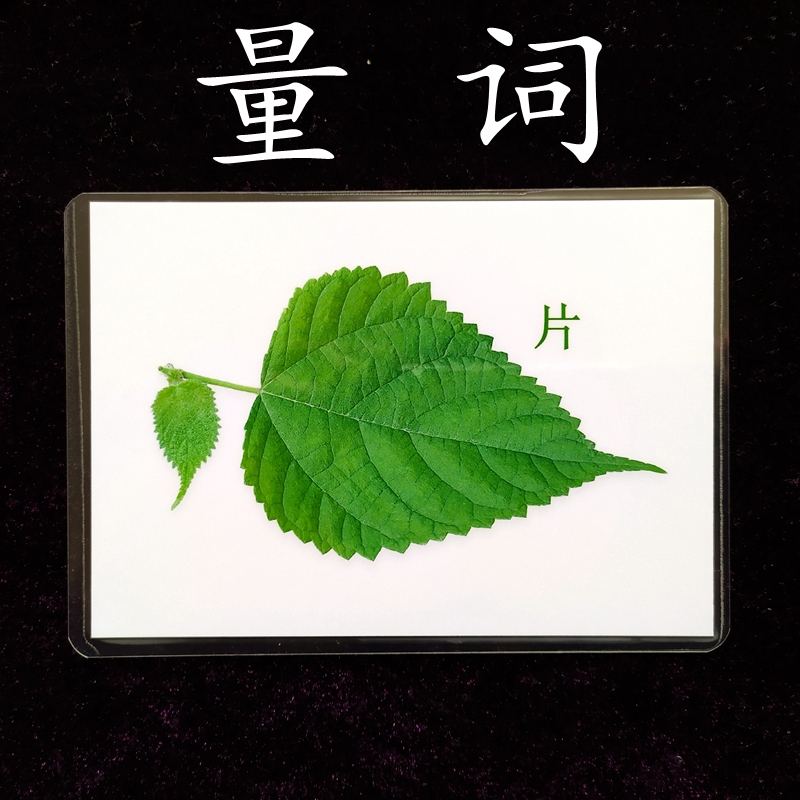 自闭症孤独症量词认知 aba训练卡片66张五寸|msdalam kategori Toy/bayi/teka-teki/blok bangunan/model, Pembelajaran awal/mainan pintar, Learning Cards Flash awal/kad pembangunan potensi - dari Buy2taobao.com untuk memberikan perkhidmatan ejen Taobao profesional membeli