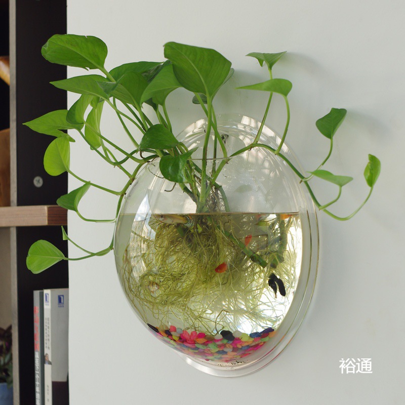 创意壁挂花盆水培吊篮吊兰花瓶花卉植物绿萝盆景绿植盆栽花器塑料