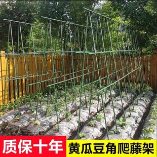 蔬菜植物黄瓜豆角番茄葡萄室外阳台爬藤支撑架子园艺铁艺竹子钢管