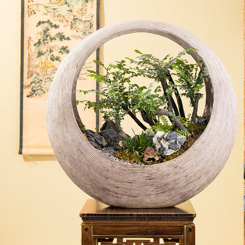 小叶紫檀盆景组合山水岭南艺术盆景附石老桩盆栽室内绿植绿植花卉