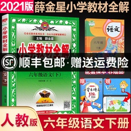 2021春新版 薛金星小学教材全解6六年级下册语文教材全解人教版六年级下册语文书部编版全解小学生课本同步讲解练习解读析辅导资料