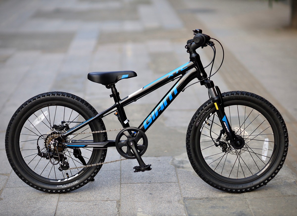 一折捷安特自行车 学生 青少年