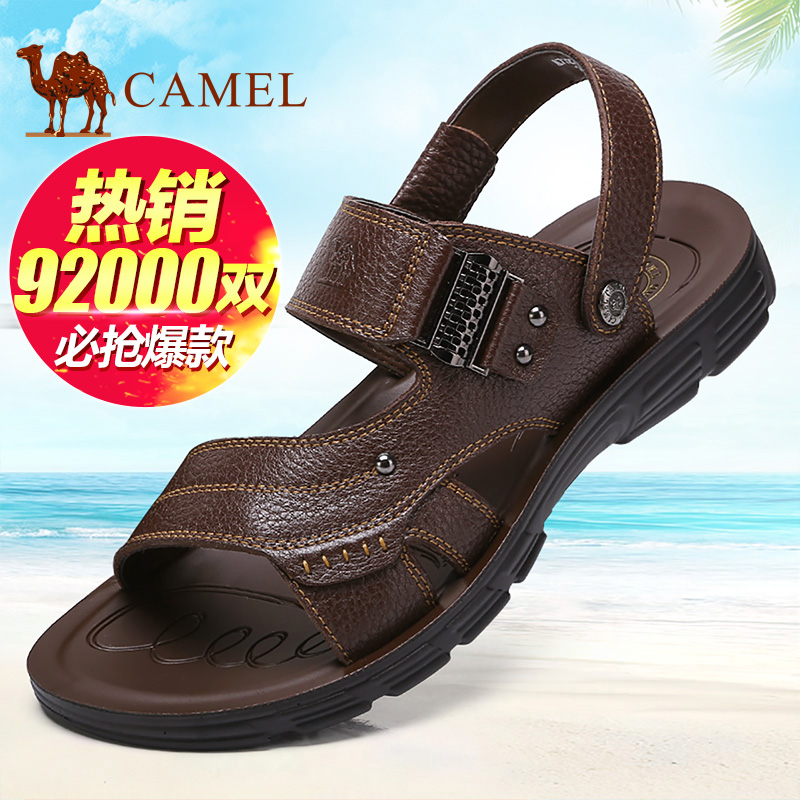 Camel/駱駝20