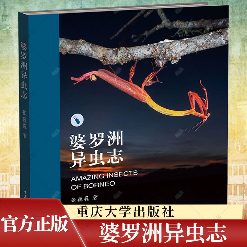 婆罗洲异虫志张巍巍 著玩虫子 从入门到疯狂 你只差这一本书100 个雨林昆虫的小故事 配合原创生态照片婆罗洲原始雨林书籍