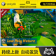 Unity Low Poly Nature Lush and Diverse Environments 1.0 包更