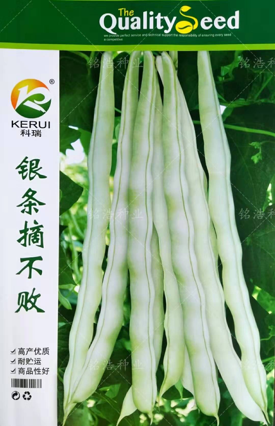 银条摘不败白芸豆种子 早熟品种豆角扁豆 蔬菜孑阳台盆栽种籽