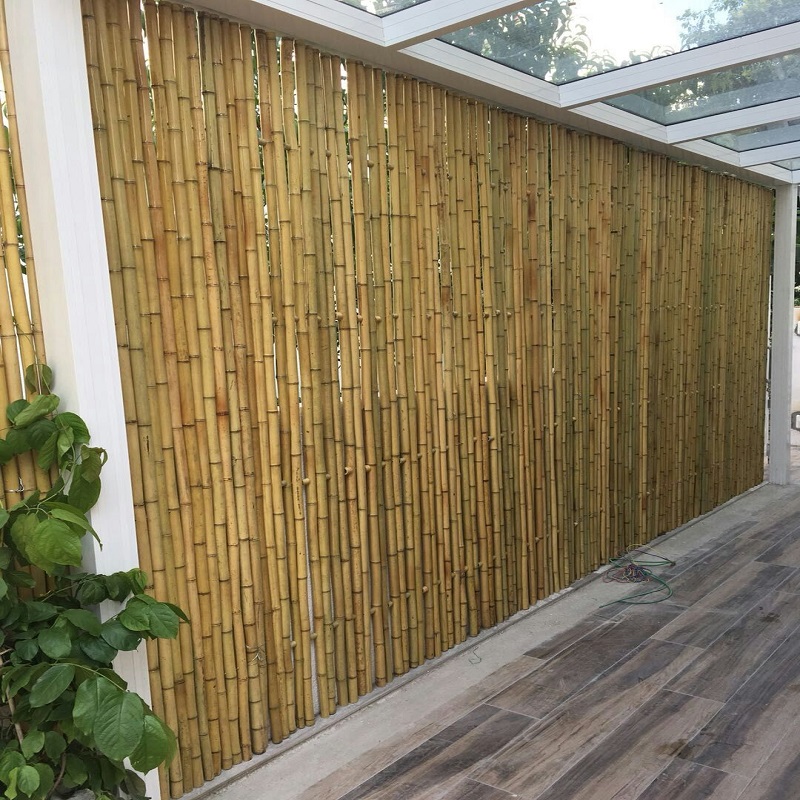 竹篱笆栅栏围墙护栏花园竹挡墙庭院隔断紫竹装饰防腐竹竿竹子围栏