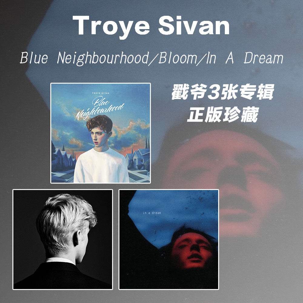 正版 戳爷专辑 troye sivan in a dream bloom 蓝色街区 cd 周边