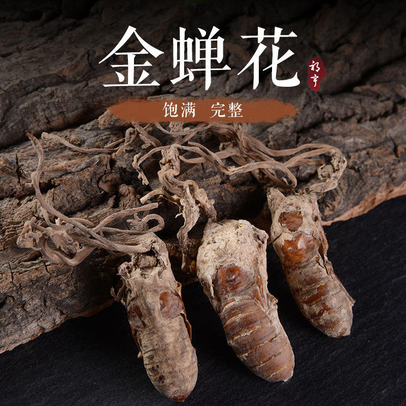 金蝉花250克金蝉花知了唐蜩蝉茸蛹草中药材店铺中草药大全