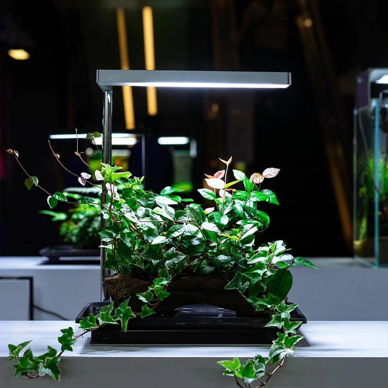 台湾onf水族灯智慧水族培育灯桌面水陆灯陀草微景观专业水草灯优惠券