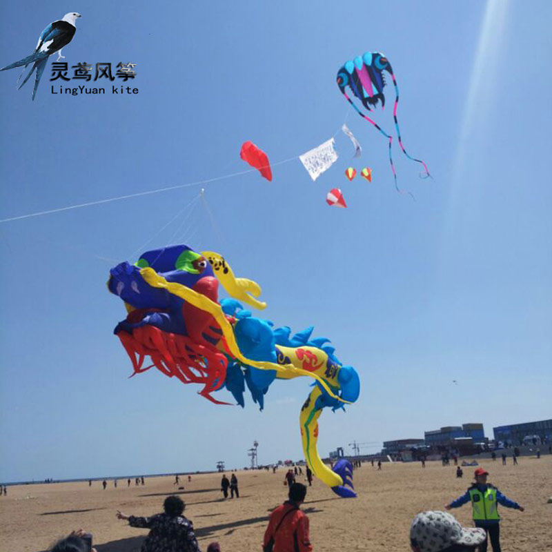 潍坊灵鸢风筝店 青州马老四 品牌参赛风筝挂件软体中国龙风筝定做
