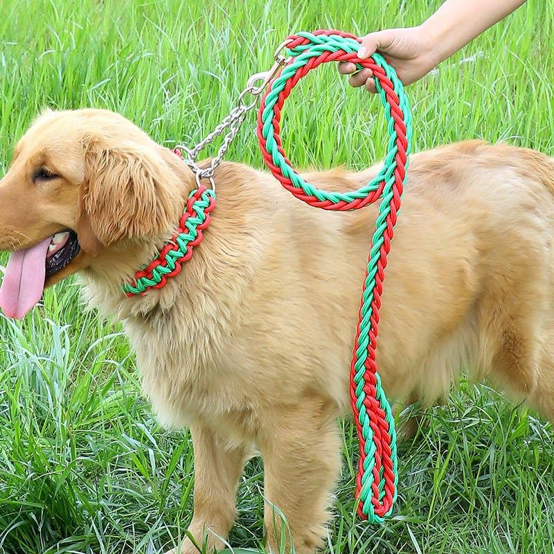 一折中大型犬牵引绳双色宠物狗链子
