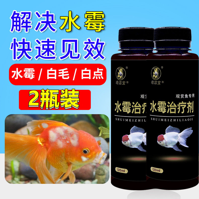 水霉病专治鱼药